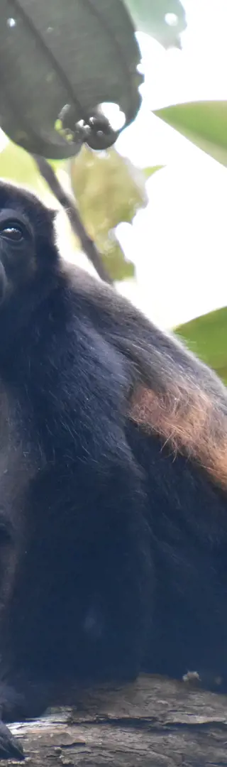 Unruhen bahnen sich an